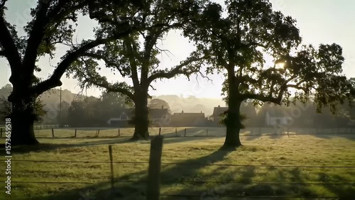Wallpaper Mural Misty sunrise scene with large trees and pasture, farmhouse silhouettes on the horizon Torontodigital.ca