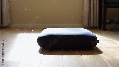 Wallpaper Mural Dark cushion sits on wood floor, sunlight streaks across the planks, bright room Torontodigital.ca