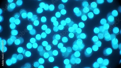 Wallpaper Mural Abstract bokeh of scattered teal lights on a dark backdrop, blurry and dreamy Torontodigital.ca
