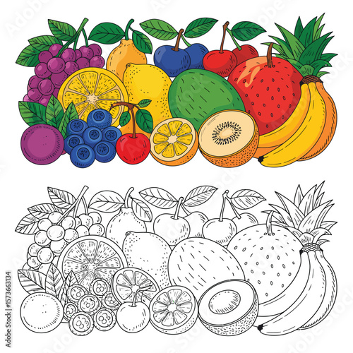 Colorful and Black and White Fruit Illustration Collection