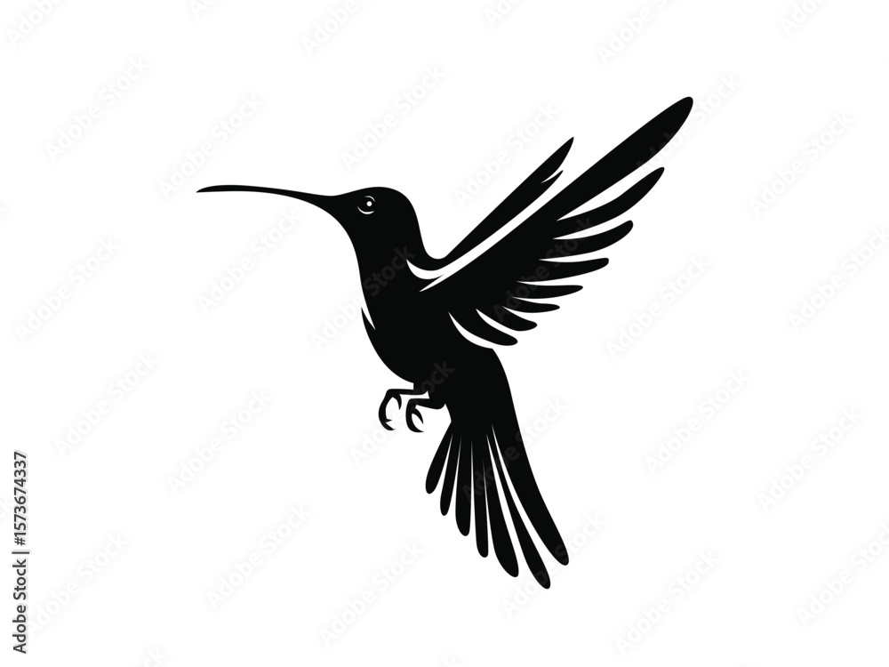 Obraz premium flying hummingbird on silhouette, flying bird
