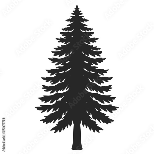 Redwood tree vector silhouette illustration isolated on white background
