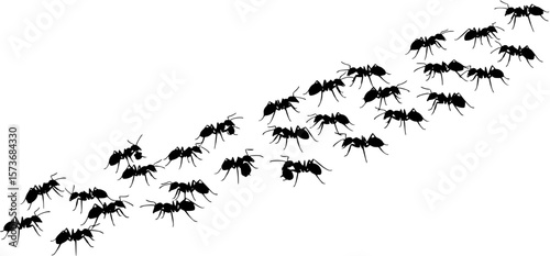 Silhouette of a large group of ants marching in a line.