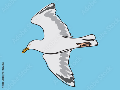 Seagull in continuous line drawing style.