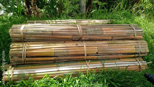 bamboo fence in the forest