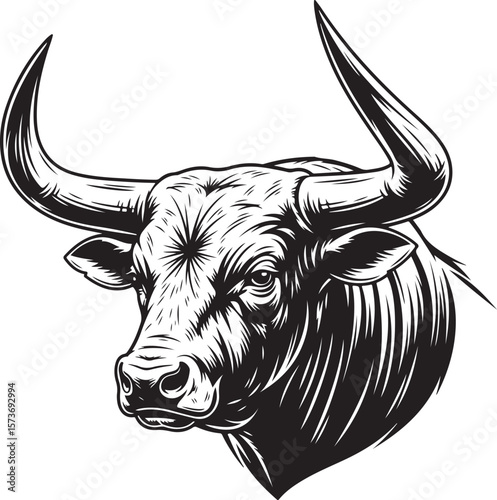 Detailed black and white illustration of a bull head with prominent horns and strong features