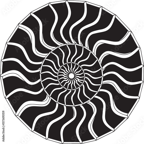 Striking black and white nautilus shell illustration with spiral pattern and geometric design.