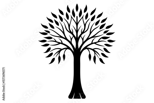 Willow tree vector silhouette illustration isolated on white background