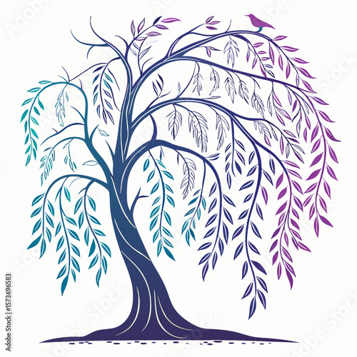 Willow tree vector silhouette illustration isolated on white background