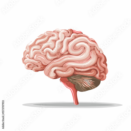 stylized brain icon in flat design with simplified neural folds and modern healthcare aesthetic