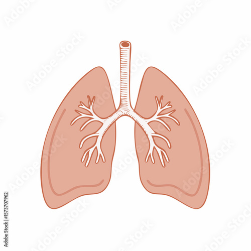 minimalist pair of lungs icon in clean line art style for medical and healthcare use