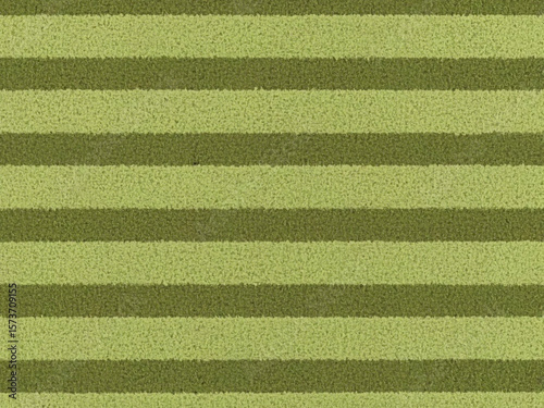 green carpet texture