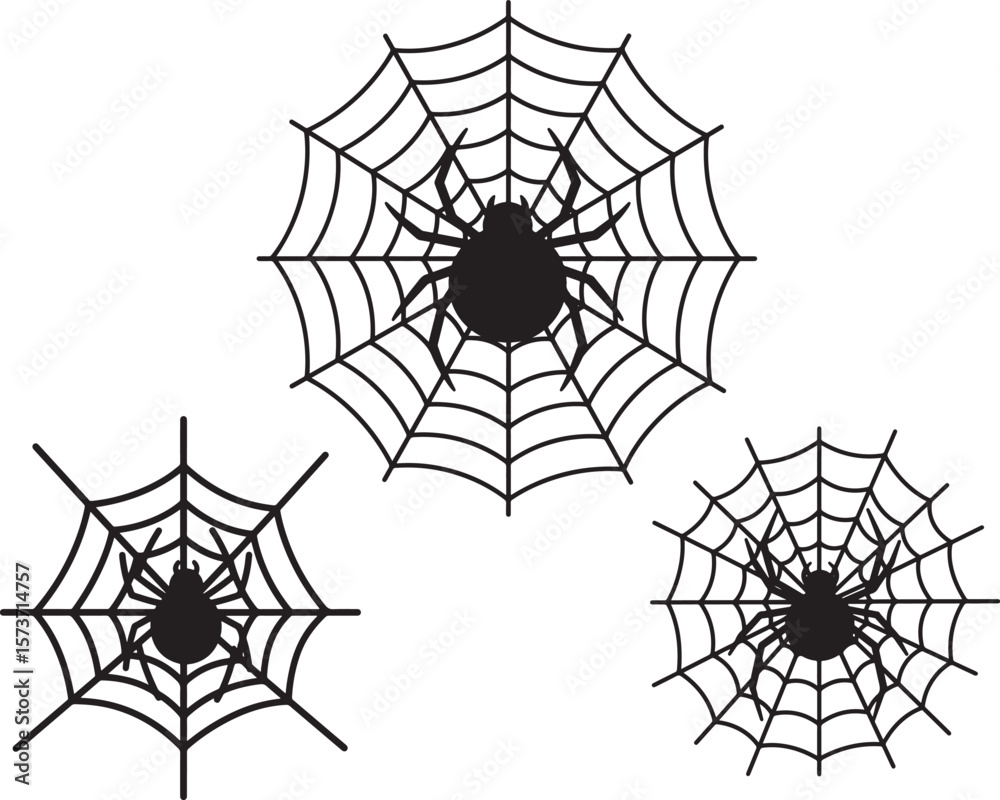 Fototapeta premium Intricate spider web design with a central spider in silhouette