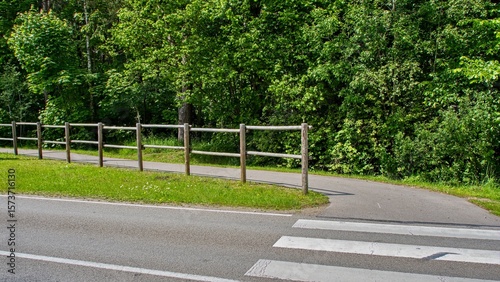 Wallpaper Mural Quiet forest road with pedestrian and bicycle path. Torontodigital.ca