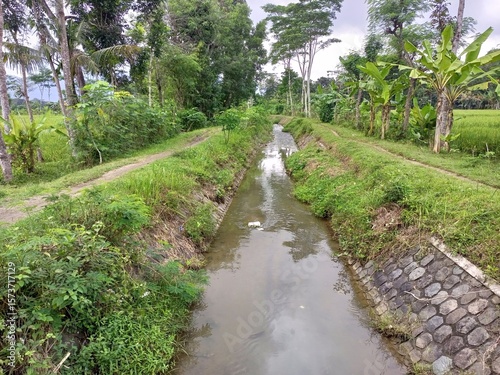 Obraz na plátně Straight Irrigation Canal in Rural Kulon Progo Landscape