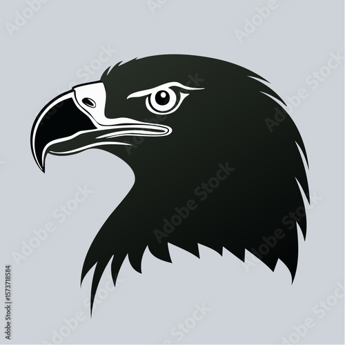 Silhouette of an eagle's head, photographed from the side, focusing on its sharp beak, defined face, and intense eyes