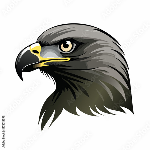 Silhouette of an eagle's head, photographed from the side, focusing on its sharp beak, defined face, and intense eyes