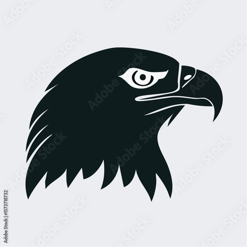 Silhouette of an eagle's head, photographed from the side, focusing on its sharp beak, defined face, and intense eyes