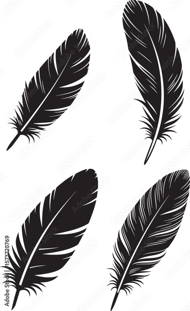 Obraz premium Elegant single feather silhouette design for artistic and natural themes