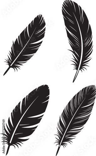 Elegant single feather silhouette design for artistic and natural themes