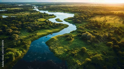 Serene Aerial View of Lush Green River Landscape at Sunrise