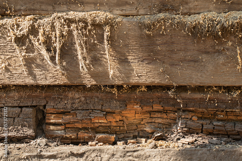 A rotten wooden beam. A close-up of a rotten square crown in the wall of a wooden house. The dust of the building material has crumbled and cracked from old age.