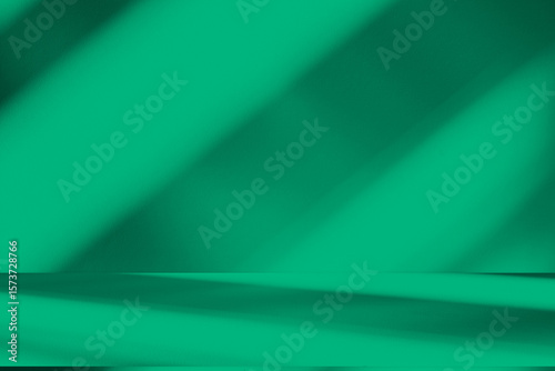 Wall interior background, studio and backdrops show products. with leaf shadow from window color green and white. background for text insertion and presentation of product	
