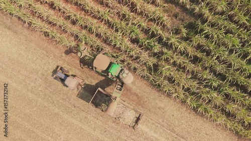 Above drone aerial view scene sugar cane field arid summer dry soil farm net zero waste rural plant nature crop. Go green carbon credit ESG future growth reduce power bio fuel energy truck tractor.