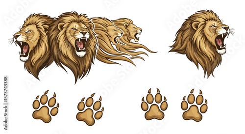 Illustration showing multiple lion heads roaring and lion paw prints on a white background design art