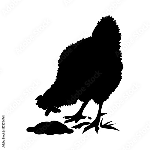 Black silhouette of a chicken pecking at food on a white background