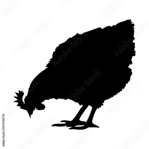 Black silhouette of a chicken pecking the ground on a white background