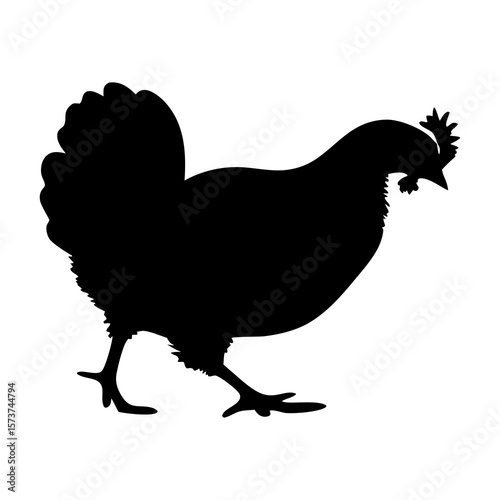 Black silhouette of a chicken walking on a white background