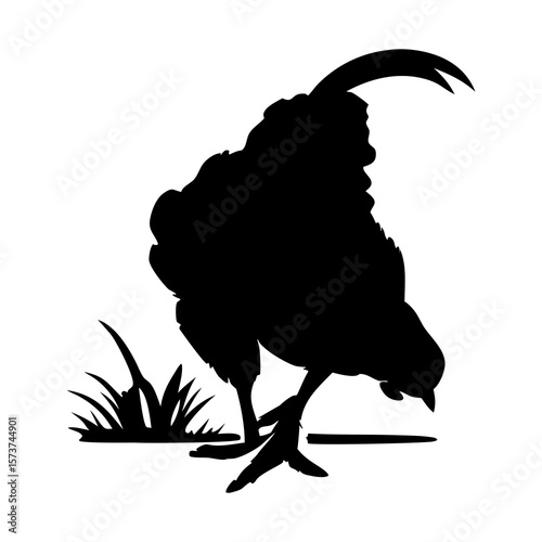 Black silhouette of a chicken pecking at the ground with grass