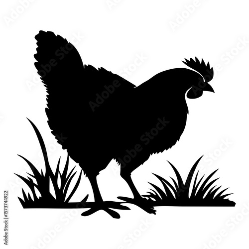 Black silhouette of a chicken standing in tall grass on a white background