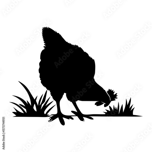 Black silhouette of a chicken pecking for food in the grass