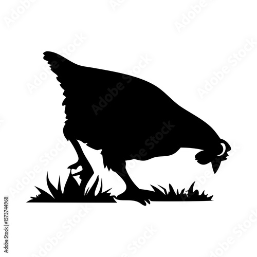 Black silhouette of a chicken walking with its head down on a white background
