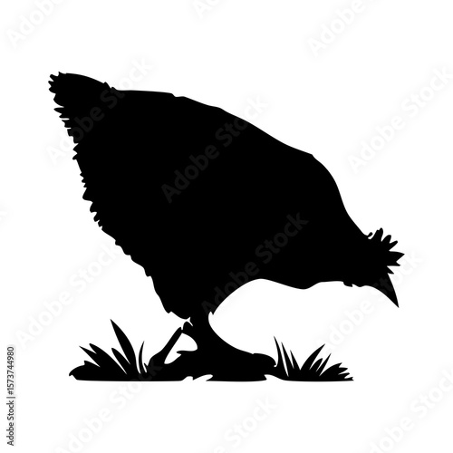 Collection of black chicken and rooster silhouettes on a teal background