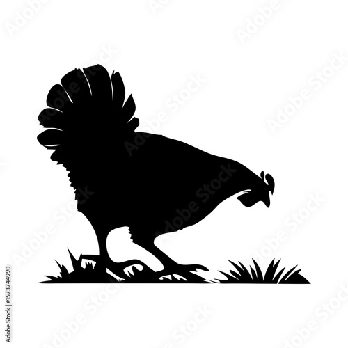 Black silhouette of a chicken pecking at food on a white background