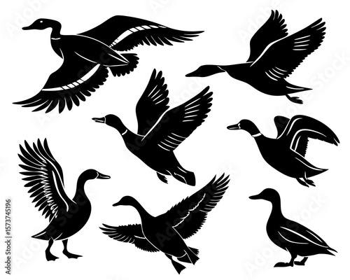 Collection of black silhouette mallard ducks in various flying and standing poses