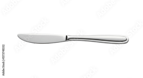 Stainless Steel Butter Knife Elegant Design.