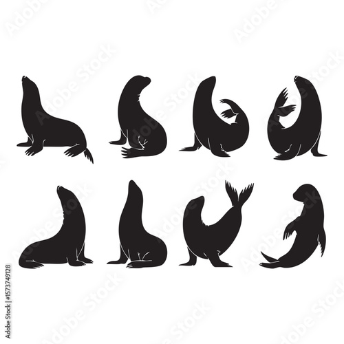 Collection of black silhouette illustrations of seals in various poses on a white background