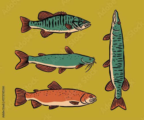 A rustic hand-drawn collection of river fish, including catfish and perch, with vintage colors and retro outdoor aesthetic.