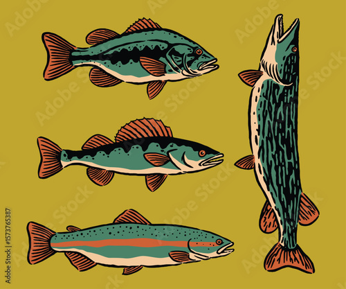 Hand-drawn vintage illustration of various lake fish species, featuring bold outlines and earthy color tones on a yellow background.