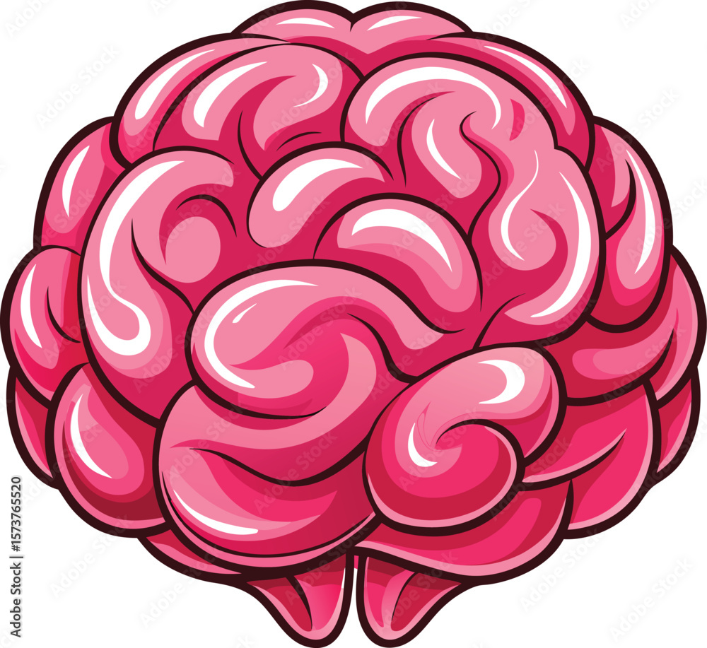 Fototapeta premium Human Brain anatomy illustration 