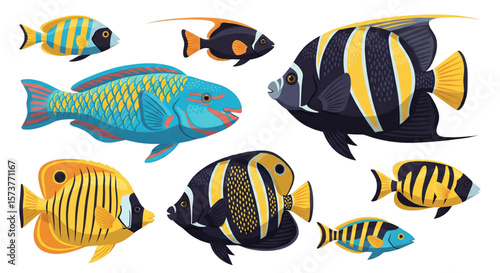 Colorful Reef Fish Vector Illustration Set