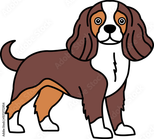 illustration icon of a Cavalier King Charles Spaniel dog