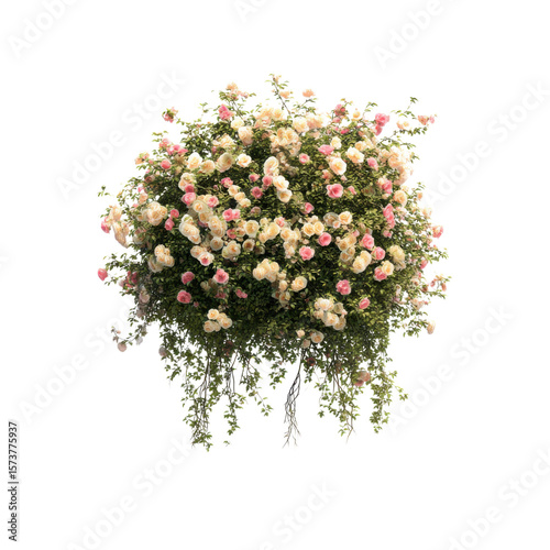 realistic tropical hanging vines with twisted stems and exotic flowers isolated on transparent background