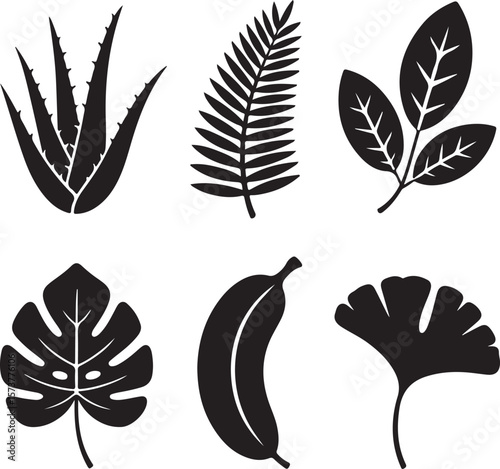 Six black plant silhouettes including aloe fern leaves and ginkgo leaf