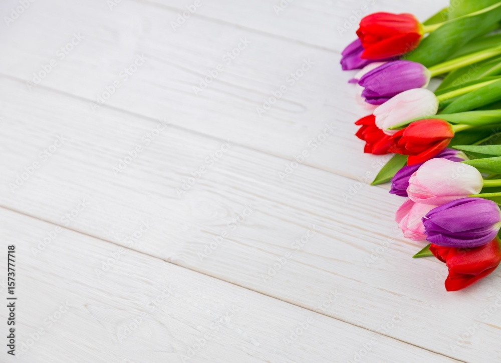 Fototapeta Flat design multicolored tulip bouquet is lying on white wood slats with green leaves, copy space