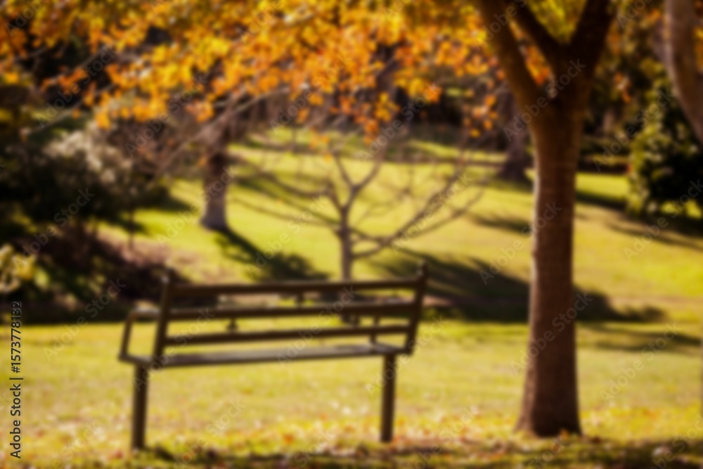 Empty bench on grass by tree Empty bench on grass by tree